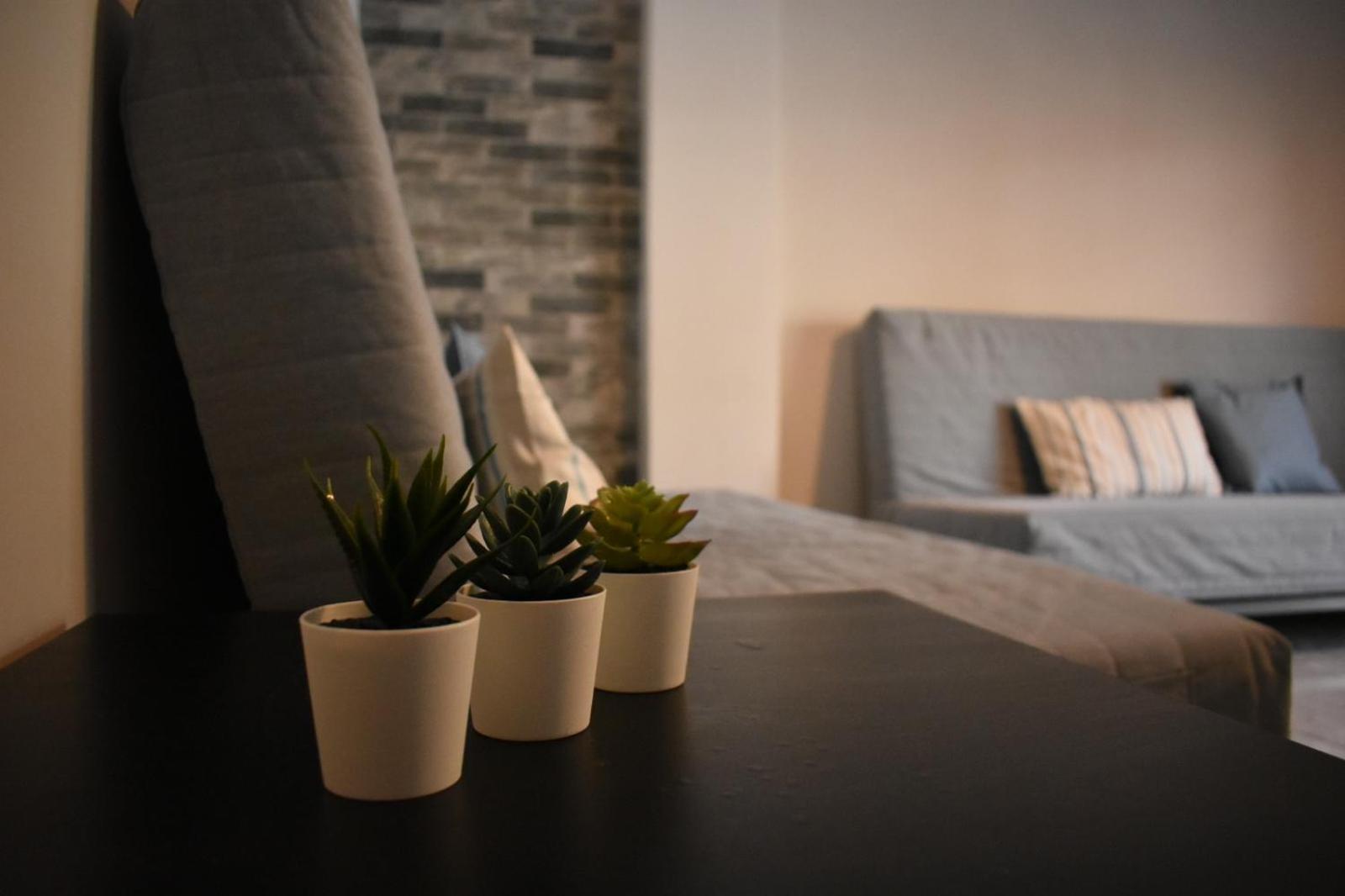 Nea Kallikrateia Davidana Deluxe Apartments חדר תמונה